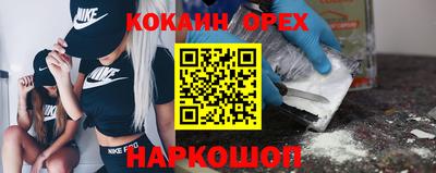 молекула духа Кингисепп