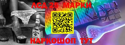молекула духа Кингисепп