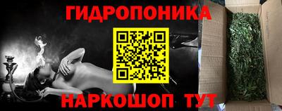 стафф Кинель