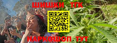 молекула духа Кингисепп