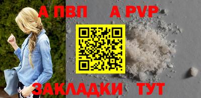 молекула духа Кингисепп