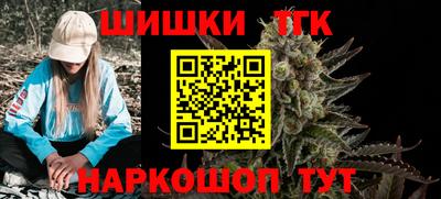 молекула духа Кингисепп