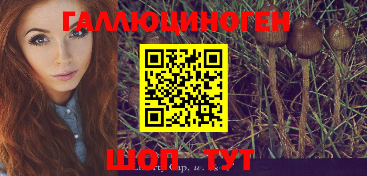Галлюциногенные грибы Psilocybe  Вход с VPN  цена наркотик  Котельники  Псилоцибиновые грибы мицелий 